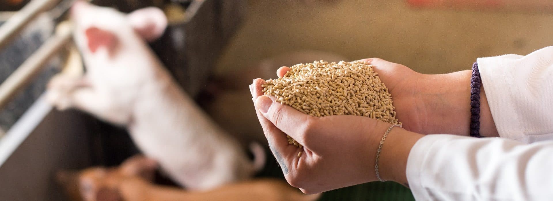 Photos de granules pour nutrition animale - mélangeurs industriels pour la nutrition animale.